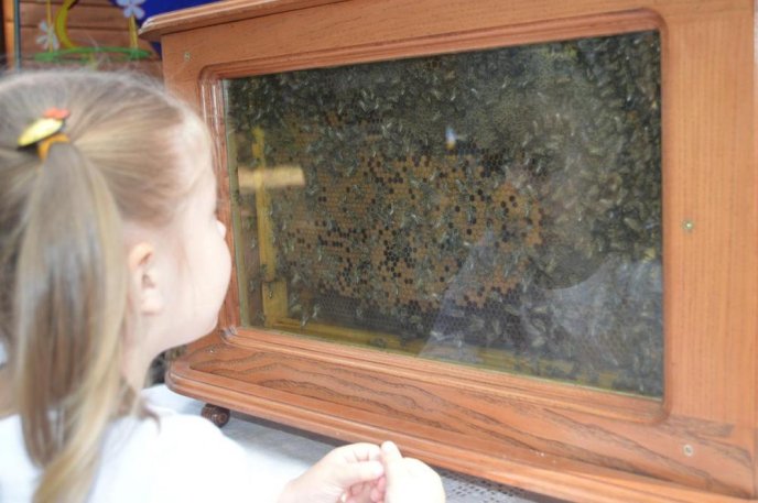 Мед в усіх його варіаціях: в Ужгороді офіційно відкрили ярмарок "Медовий спас" – 12