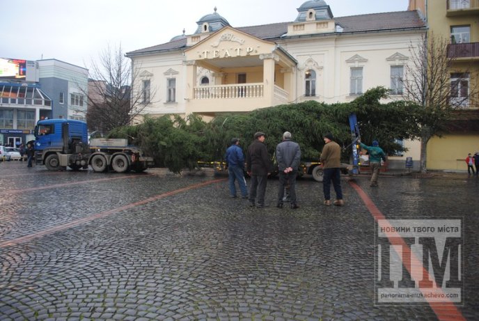 У Мукачеві встановлюють головну новорічну ялинку міста (ФОТО) – 05
