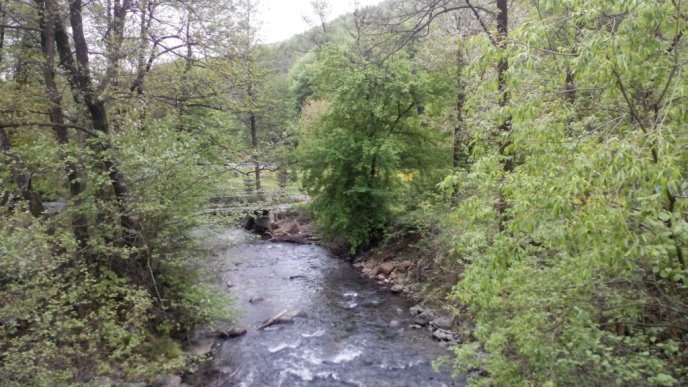 Ліквідація дитячої оздоровниці "Мрія" у Лісарні стараннями мукачівських депутатів: помилкове рішення чи необхідність? – 07