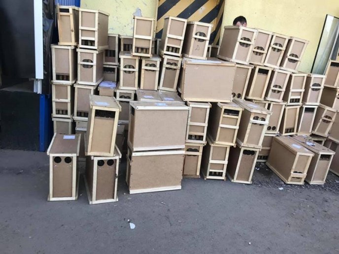 Шокуючий випадок на Закарпатті: що сталося з посилкою, яку відправили "Укрпоштою" – 02