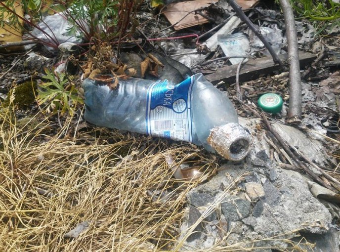 Як закарпатці перетворили околиці міста на сміттєзвалище – 08