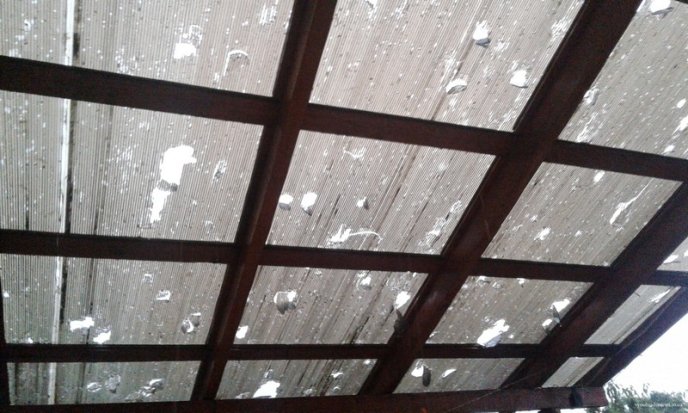 Виноградівщина оговтується від нищівного граду: шокуюче відео стихії – 02