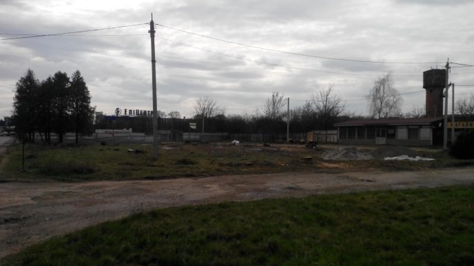 В Ужгороді на один сквер стало менше. Практично всі дерева вирізали – 02