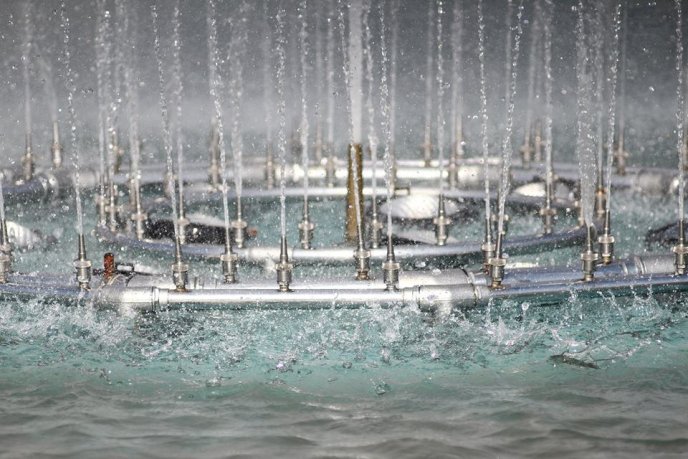 У одному з фонтанів Мукачева планують відновити музичний супровід – 06