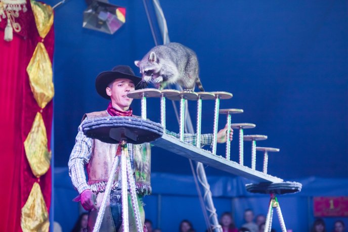 До Мукачева завітає цирк на воді "Рів’єра" – 04 До Мукачева завітає цирк на воді "Рів’єра" – 04