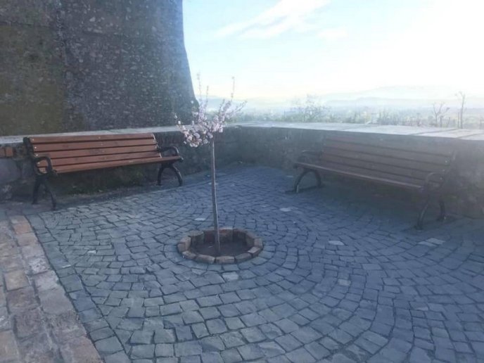 У "Паланку" готують до туристичного сезону – 03