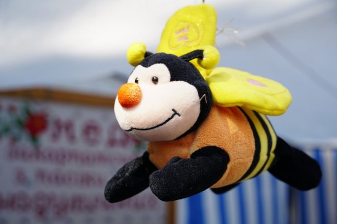 Фестиваль-ярмарок «Медовий Спас» розпочався в Ужгороді – 03