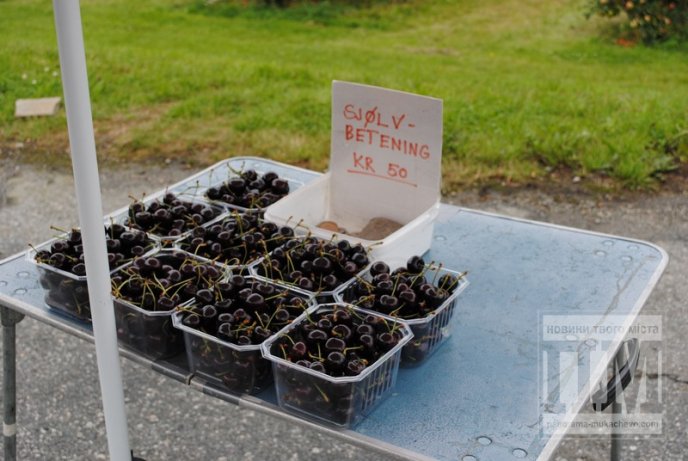 Подорож у країну-казку: з кого Закарпаття має брати приклад (ФОТО) – 18