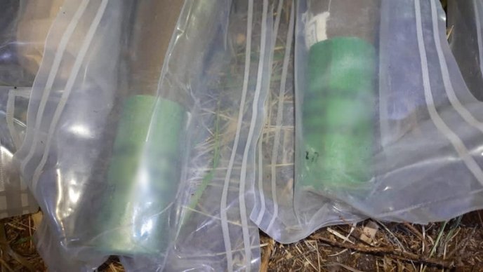 Через кордон намагались переправити боєприпаси – 04