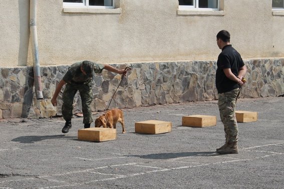 До бійців Ужгородського батальйону Нацгвардії завітали півсотні дітей-сиріт – 03