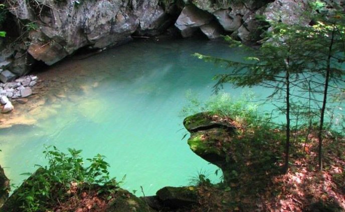 На Великоберезнянщині виявили унікальне диво природи – 02