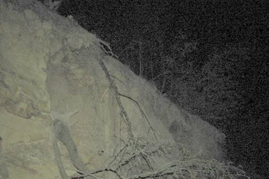 Поліція Закарпаття порушила кримінальне провадження у справі завалу кар’єру на Ужгородщині – 02