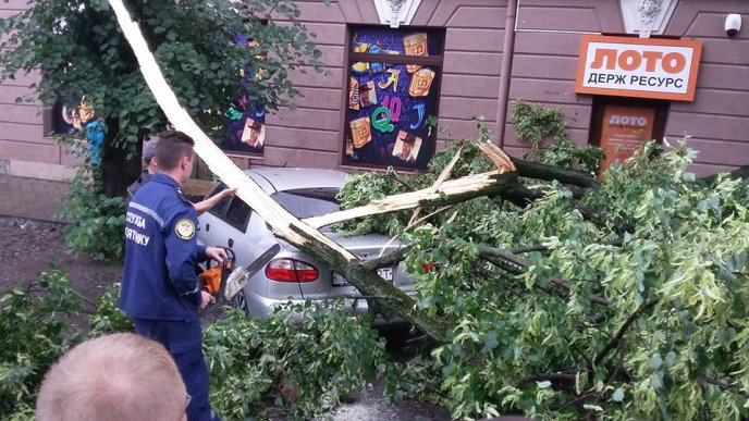 Буря в Ужгороді: дерева потрощили автомобілі  – 05