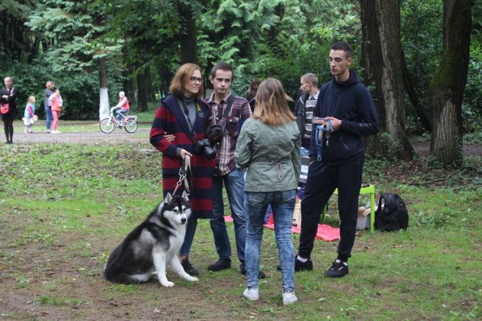 В Ужгород привезли понад 150 собак із різних областей України – 20