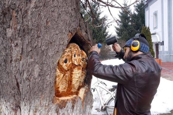 У старому дереві у Тячеві майстер вирізьбив совину родину – 02