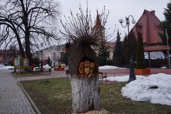 У старому дереві у Тячеві майстер вирізьбив совину родину – 04