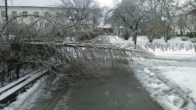 Наслідки негоди у Виноградові: повалені дерева, пошкоджені автомобілі та дах школи – 02