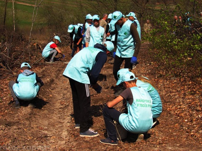 На місці вирубаного лісу у Мукачівському районі висадили цінні породи дерев – 03