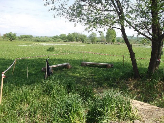 На Хустщині відкрили оновлену дорогу, яка веде до Долини нарцисів – 13