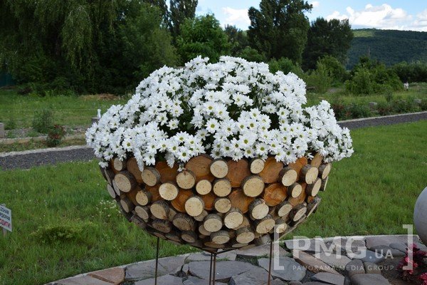 У Чинадієві відбувся фестиваль квітів "Кохання в Сент-Міклоші" – 06