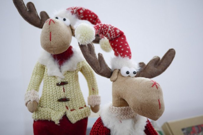 Сьогодні в Ужгороді розпочався фестиваль пряників – 09