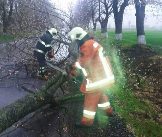 Закарпатські рятувальники ліквідовують наслідки сильної грози – 04