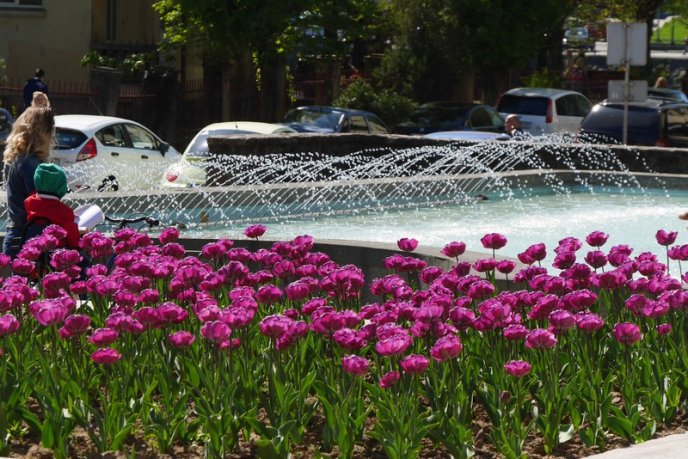 В Ужгороді на площі Поштовій запрацював фонтан – 01