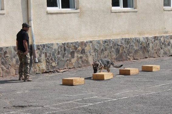 До бійців Ужгородського батальйону Нацгвардії завітали півсотні дітей-сиріт – 04