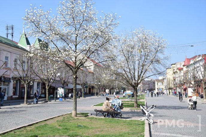 Мукачівці та гості міста вже милуються цвітінням сакур та магнолій – 01