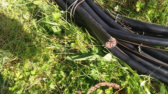 Поліція Великоберезнянщини затримала серійних зловмисників, які підозрюються в десяти крадіжках телефонних кабелів – 05