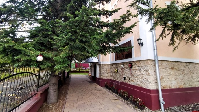 В області розпочали прикрашати ялинки: закарпатців просять долучитися до акції – 02