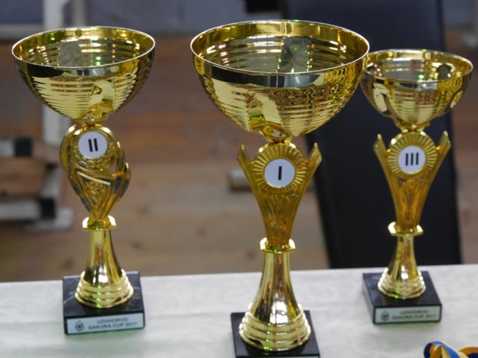 В обласному центрі відбувся Міжнародний турнір з тхеквондо "Uzhhorod Sakura Cup 2017" – 02 В обласному центрі відбувся Міжнародний турнір з тхеквондо "Uzhhorod Sakura Cup 2017" – 02