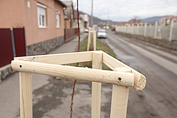 На одній із вулиць Мукачева висадили 37 сакур – 02