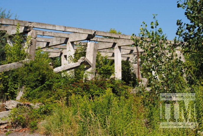 Маленька Прип’ять по сусідству зі школою та багатоквартирним масивом (ФОТО) – 23