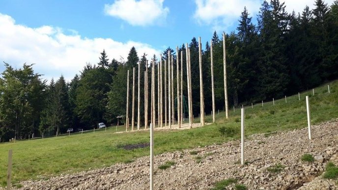 На Міжгірщині готуються до змагань "Лісоруб-2016"  – 05