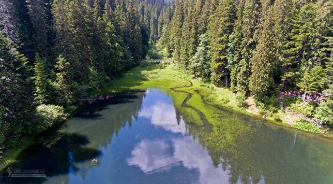 Таким його бачать птахи: користувачі мережі милуються світлинами озера Синевир з висоти – 10