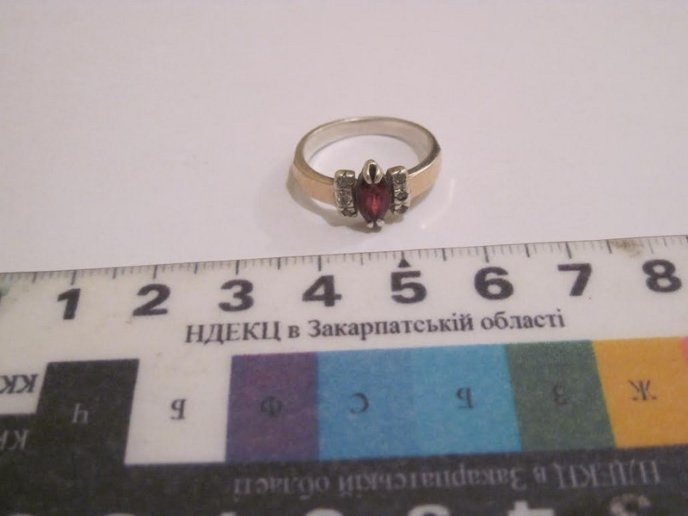 У Мукачеві затримали злочинне угрупування, яке півроку обкрадало приватні будинки людей (ФОТО) – 02