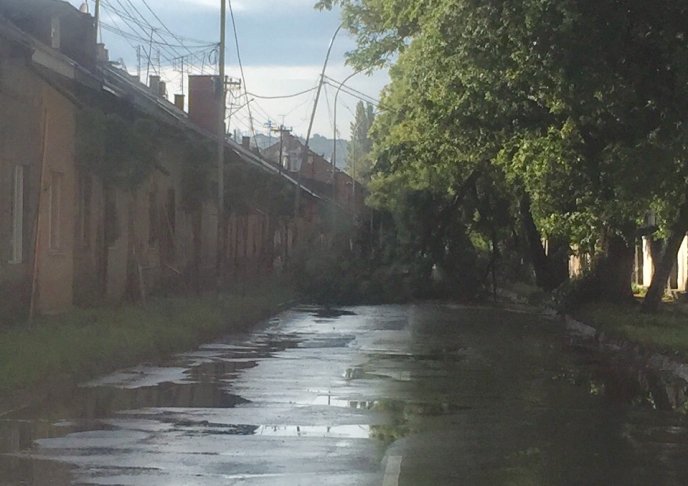 В Ужгороді дерево перегородило вулицю Шумну – 01