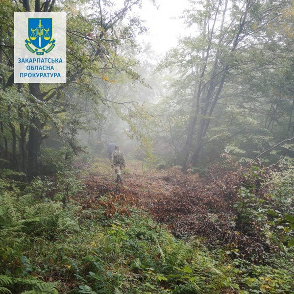 Закарпатській чиновниці повідомили про підозру – 03