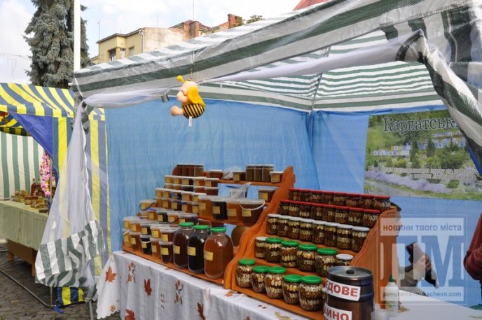 Мукачево бджолярське: у місті стартувало свято меду (ФОТОРЕПОРТАЖ) – 16