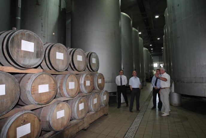 Під час візиту на Берегівщину губернатор Закарпаття пообіцяв захистити виноробів і пивоварів – 03