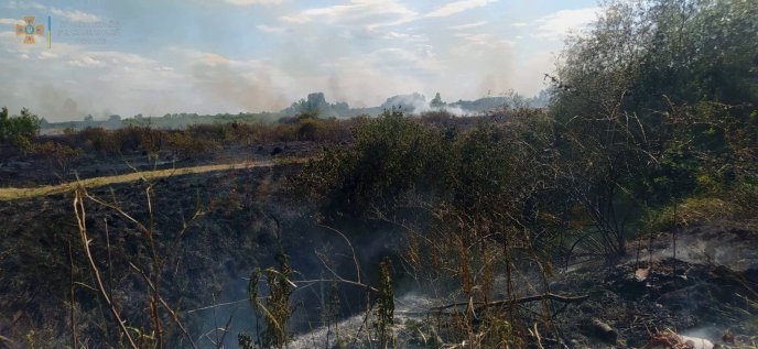 Паління сухої трави ледь не призвело до трагедії в одному з сіл Закарпаття – 04