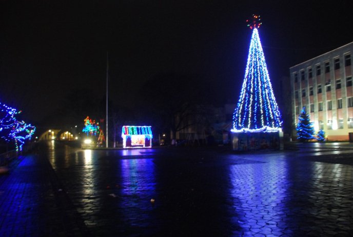 Головну новорічну ялинку району запалили в Іршаві – 01