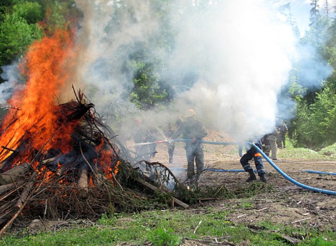 Рахівські рятувальники гасили пожежі в екосистемах – 01
