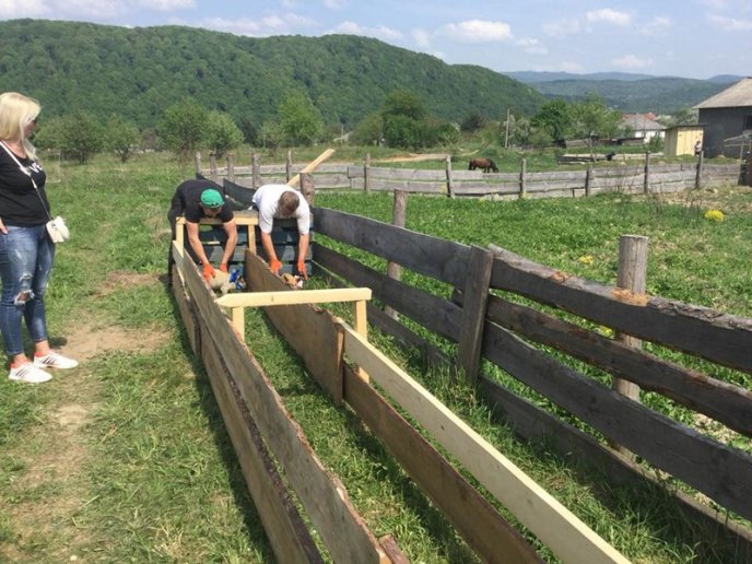 В області пройшли свинячі перегони – 05 В області пройшли свинячі перегони – 05
