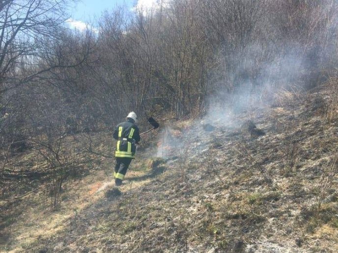 На горі Ловачка, що в Мукачеві, сталася пожежа – 02