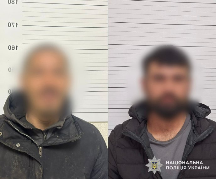 Двоє чоловіків жорстоко побили літню жінку