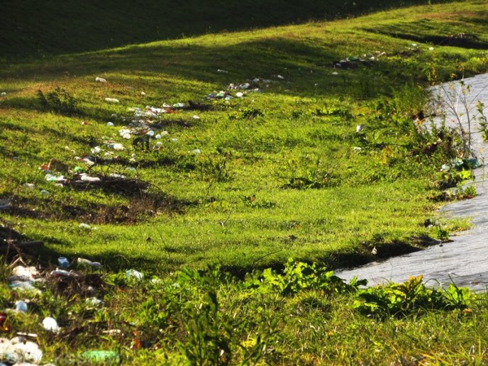 На березі Латориці у Мукачеві з’явилися купи пластикового сміття – 02 На березі Латориці у Мукачеві з’явилися купи пластикового сміття – 02