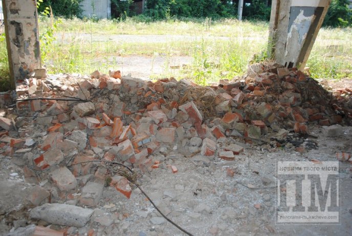 Маленька Прип’ять по сусідству зі школою та багатоквартирним масивом (ФОТО) – 08