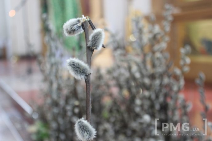 Мукачівські вірники відзначили Вербну неділю – 09